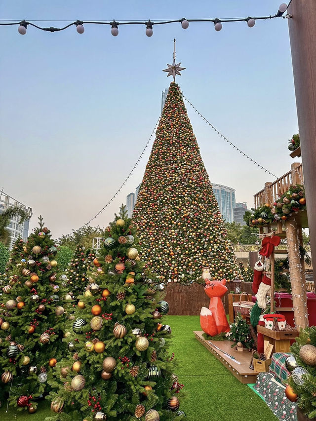 Where the Harbor Wears a Crown of Light