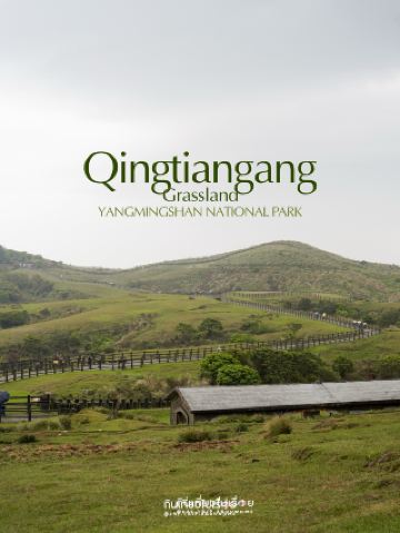 Qingtiangang Grassland: A Vast Mountain Grassland