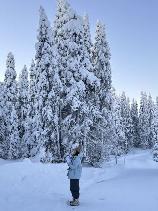 你一定未去過‼️冰雪森林行走放鬆心情🌲Ruka