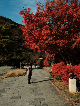 1日遊嵐山，感受紅葉的熱情