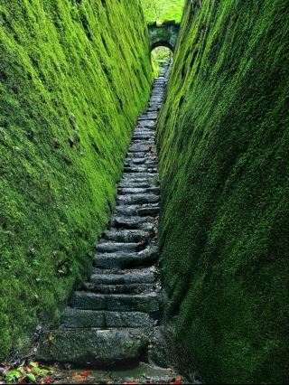 ภูเขาในจีนที่สวยเหมือนภาพวาดโบราณทุกเฟรม