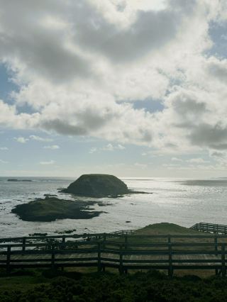 Coast dreams