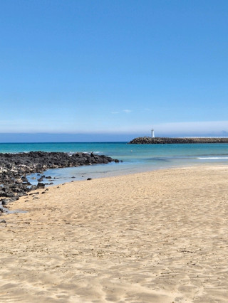 제주도는 한국의 다른 지역과는 확연히 다른 느낌을 줍니다.