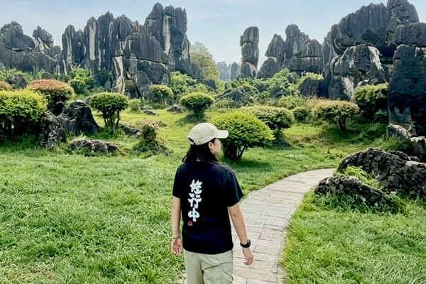 Step Into a 270-Million-Year-Old Stone Forest! Mind Blown by
