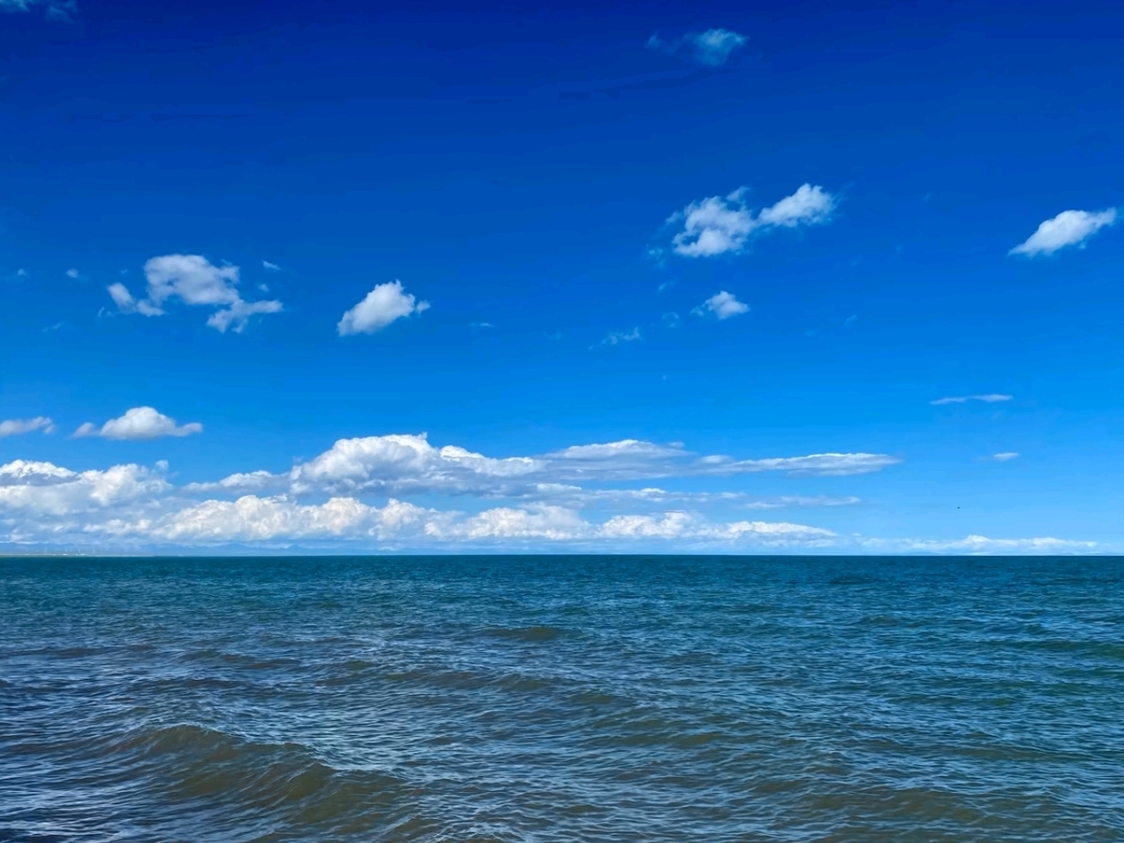 旅先での優しさ：青海湖をさらに美しく彩った心温まる瞬間