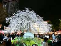 上野恩賜公園一日遊🌸東京文化 x 美食 x 綠意一次滿足！
