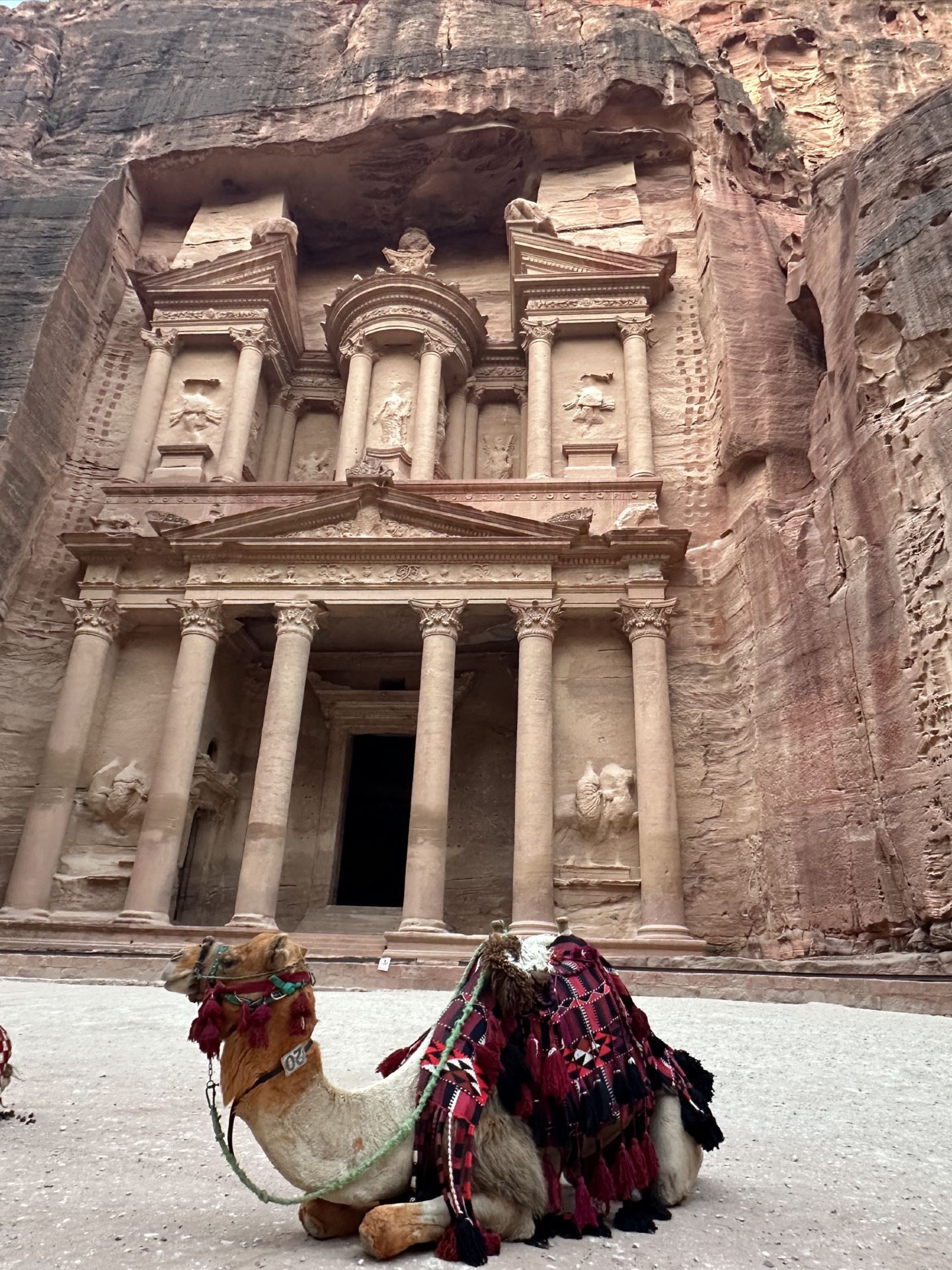 A Bucket List Dream Carved in Stone 🇯🇴✨