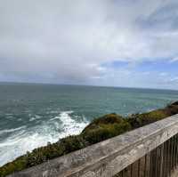 Captivating Beauty at Cape Schanck Lighthous