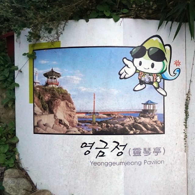 속초 영금정에서 오션뷰 감성 여행를 즐겨보세요