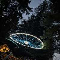 capilano suspension bridge 