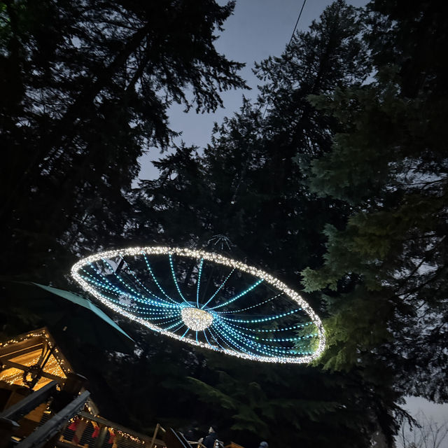 capilano suspension bridge 