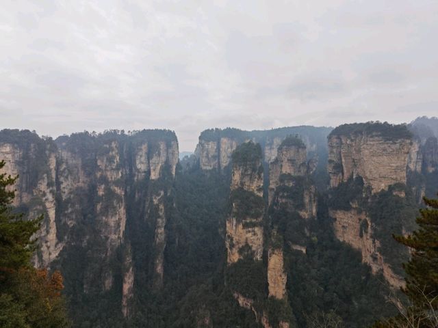 11月必去張家界仙境路線 11月必去張家界仙境路線