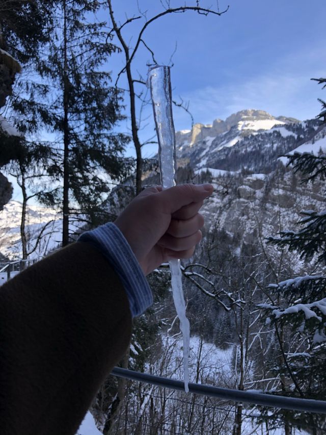 🇨🇭 겨울 끝판왕 스위스 여행지 
