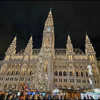 Magical Christmas Market In Vienna