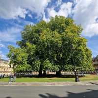 The circus, Bath, UK