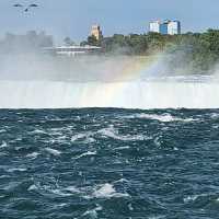 Niagra over the rainbow