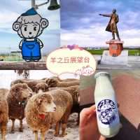 🐑羊之丘展望台🐑山頂觀景台看綿羊🐏品嚐鮮羊奶