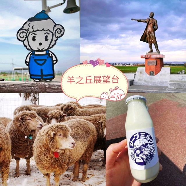 🐑羊之丘展望台🐑山頂觀景台看綿羊🐏品嚐鮮羊奶