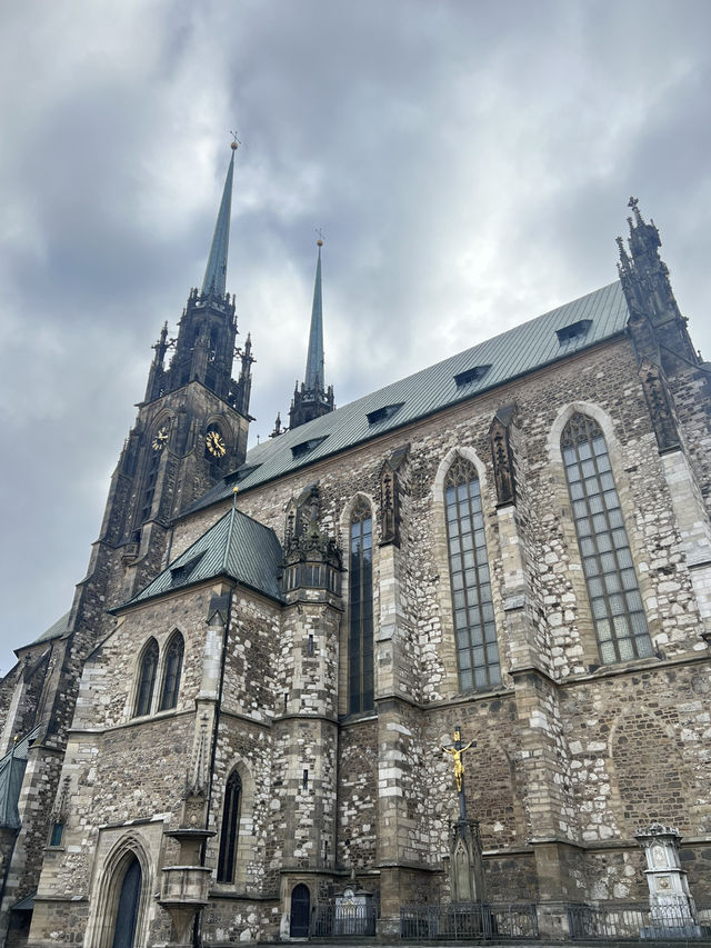 🇨🇿Brno🐊