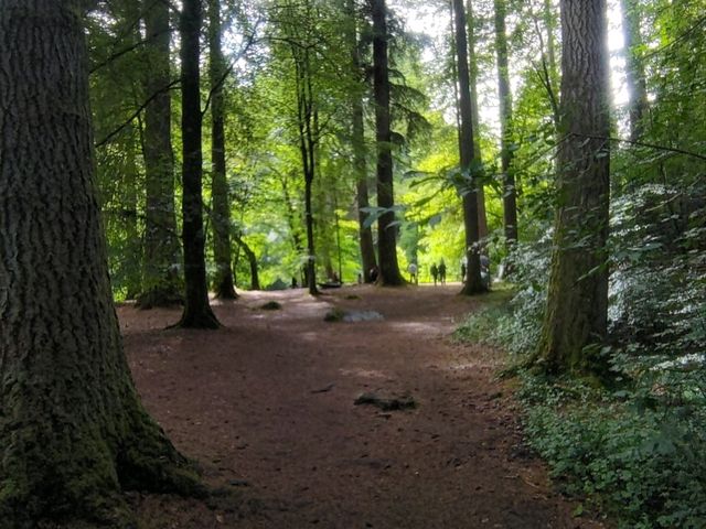Evergreen Scotland 