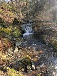 Waterfall in the woods 