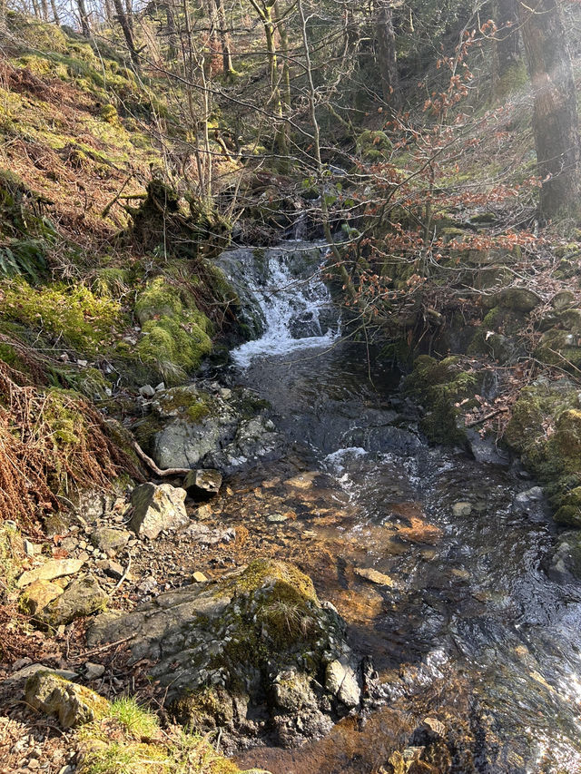 Waterfall in the woods 