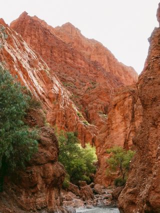 붉은 계곡이 있는 도시🌋🇧🇴 투피사