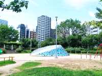 中大江公園