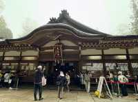 Surrounded by cedar trees over 800 years old