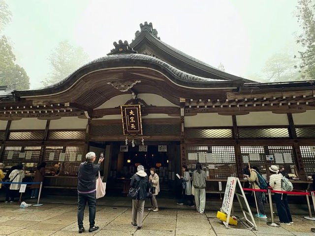 Surrounded by cedar trees over 800 years old