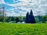 Birmingham in Bloom: From The Vale Lake to the Library Secret Garden