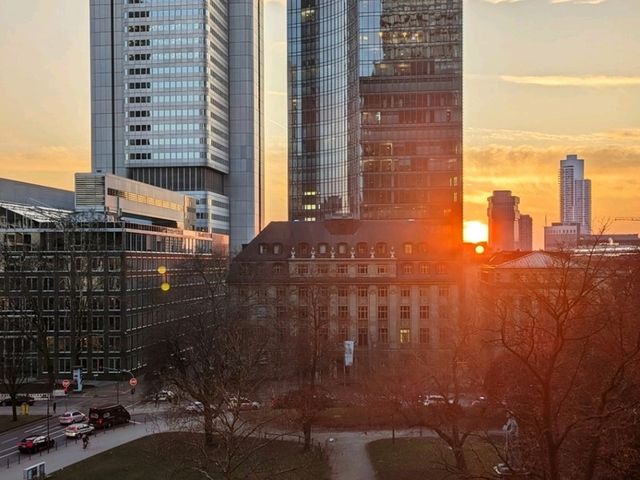 Frankfurt Skylines and Sunsets 🇩🇪