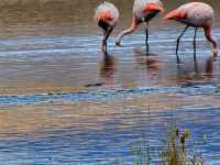 3 Days in Bolivia’s Uyuni Salt Flats – Like Landing on Another Planet