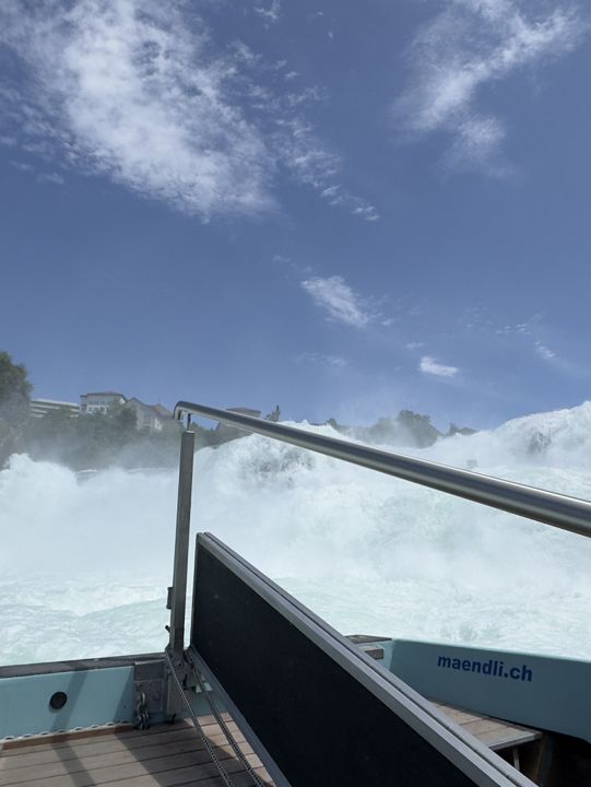 Boat tour at Rheinfalls