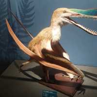 Dinosaurs, nice exhibitions in Natural History Museum of China 
