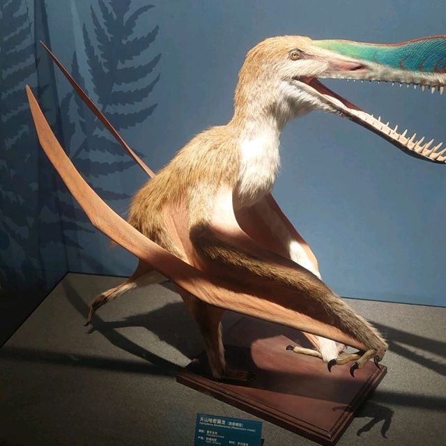 Dinosaurs, nice exhibitions in Natural History Museum of China 