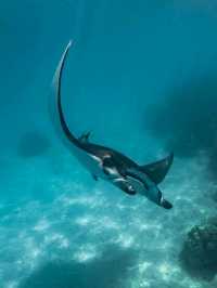 Maupiti: The Untouched Gem of Polynesia