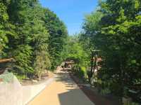 Bear Lake Transylvania