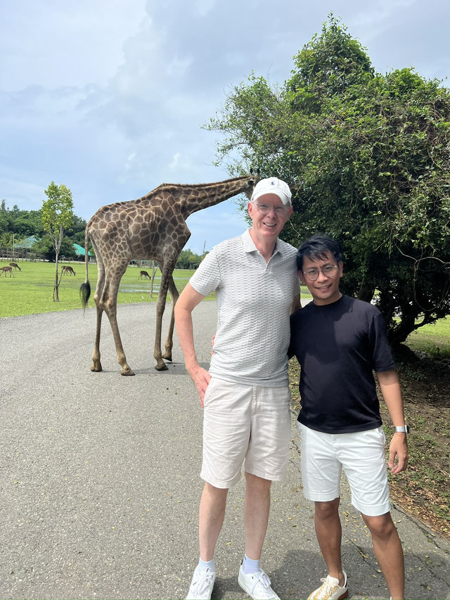 🦁🌿 Vigan Safari Adventure – Where the Wild Roars in the North! 🌿🦓