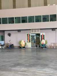 From Field to Fork: Inside Sekinchan’s Paddy Processing Factory & Rice Gallery 