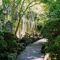 Tokyo’s Green Side: Parks, Gardens & Hidden Nature