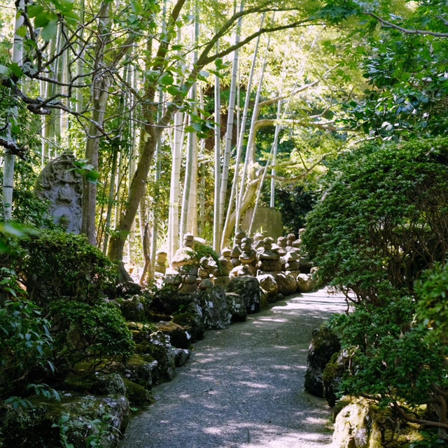 Tokyo’s Green Side: Parks, Gardens & Hidden Nature