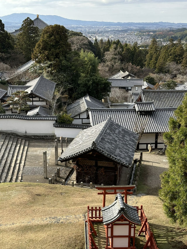 Exploring Nara’s temple circuit is a must for any Japan trip