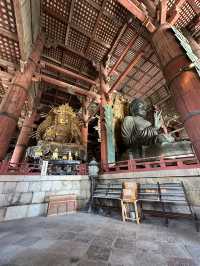 Step into Spiritual Grandeur at Nara’s Todaiji!