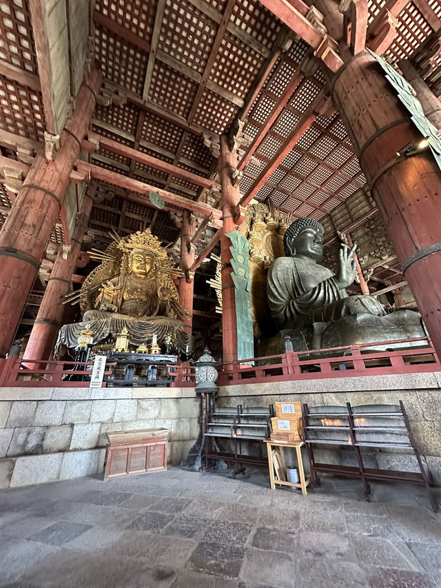 Step into Spiritual Grandeur at Nara’s Todaiji!