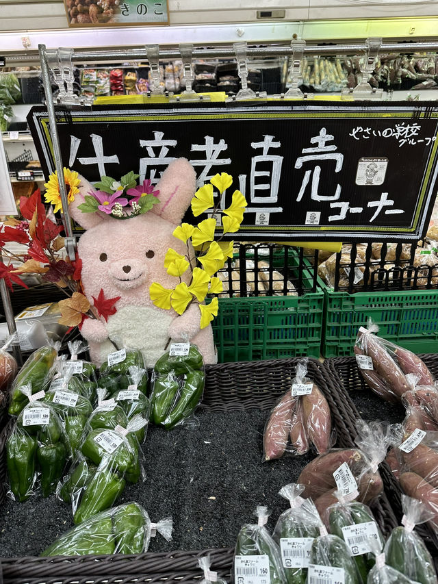 Japan Itinerary 5: Here’s my quick-hit Tokyo itinerary guide