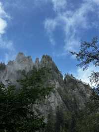 Escape into nature just an hour from the Bucharest? 🏔️