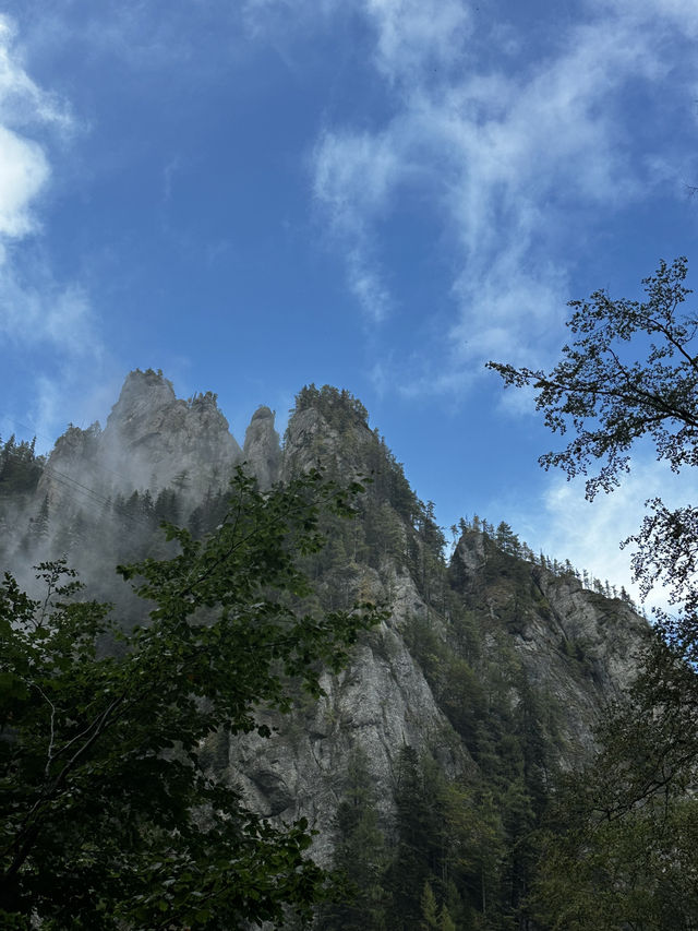 Escape into nature just an hour from the Bucharest? 🏔️