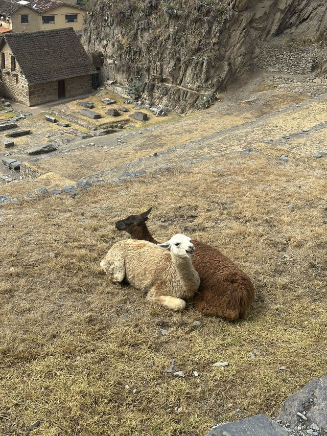 🏔️ Ollantaytambo: Where the Inca Empire Lives On