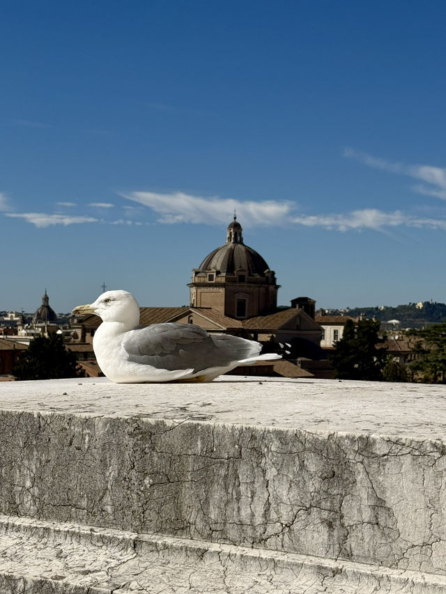 Day for fall in love Rome  Day for fall in love Rome